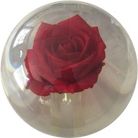KR Strikeforce Clear Red Rose Ball