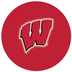 OnTheBallBowling University of Wisconsin Badgers Back Image