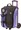 Black/Purple