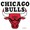 Chicago Bulls