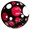 Black with Polka Dots