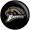 Western Michigan Broncos