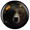Grizzly Bear
