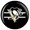Pittsburgh Penguins