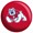 Fresno State Bulldogs
