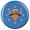 New York Knicks