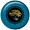 Jacksonville Jaguars