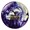 Purple/White
