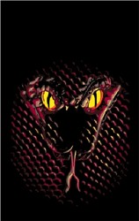 Brunswick Snake Towel Main Image