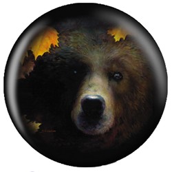 OnTheBallBowling Nature Grizzly Bear Main Image