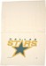 Dallas Stars Towel