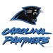 Master NFL Carolina Panthers Towel