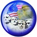 Brunswick Mini American Pride Viz-A-Ball