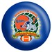 Florida Gators 2008 BCS National Champions Ball