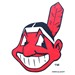 Master MLB Cleveland Indians Towel