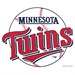 Master MLB Minnesota Twins Towel