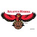 Master NBA Atlanta Hawks Towel