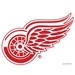 Master NHL Detroit Red Wings Towel