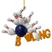 Resin Bowling Pins Ornament