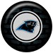 KR NFL Carolina Panthers 2011