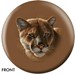 OnTheBallBowling Nature Mountain Lion