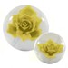 KR Clear Yellow Rose