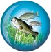 Brunswick Bass Fishing Glow Viz-A-Ball